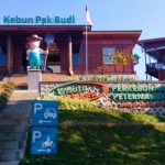 Wisata Edukasi, Bertani dan Berwisata di Kebun Pak Budi