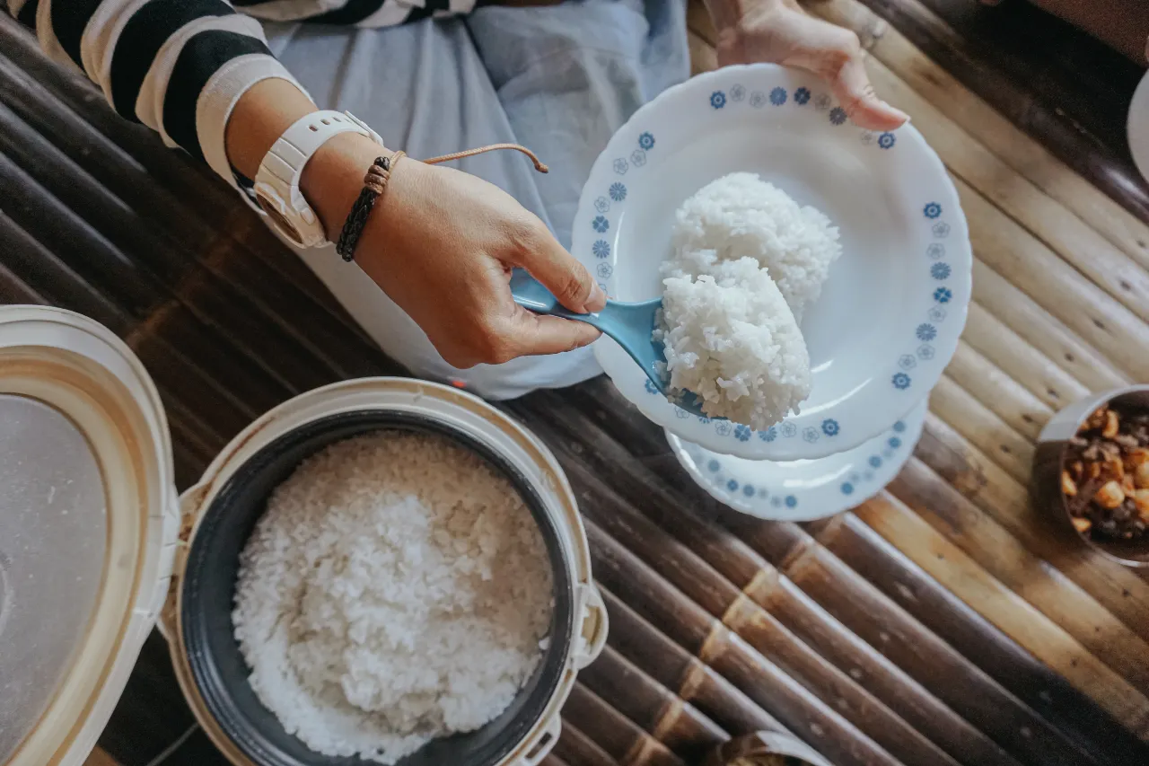 rice cooker Miyako