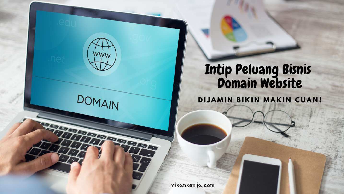 peluang bisnis domain website