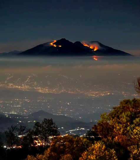 Kebakaran hutan dan lahan di kawasan Gunung Arjuno sisi Pasuruan dilihat dari TNBTS