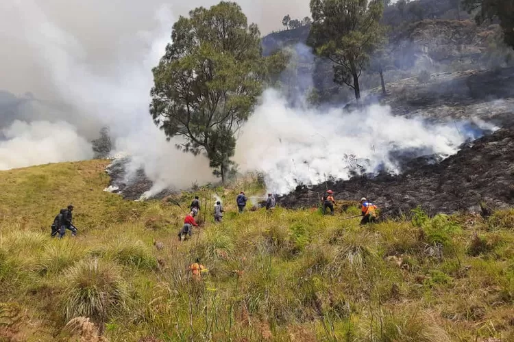 upaya pemadaman kebakaran hutan Bromo