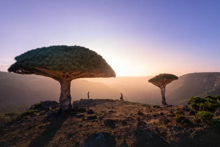 Ini Keindahan Pulau Socotra