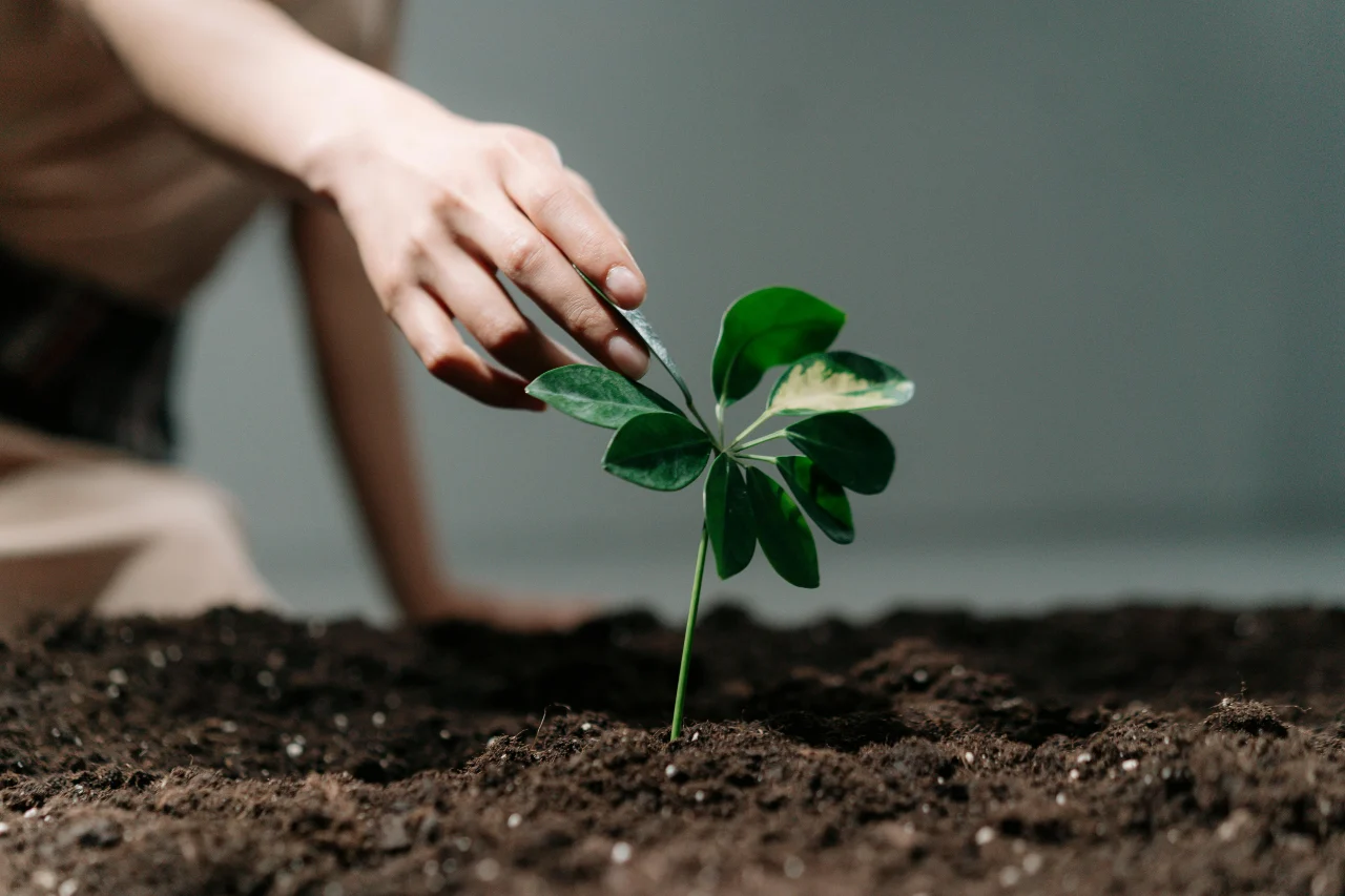 Hemat Energi = Hemat Uang