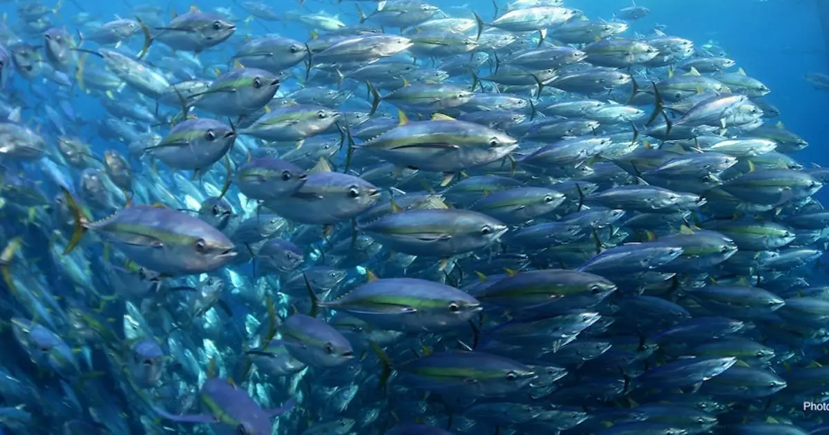 Dampak Perubahan Iklim