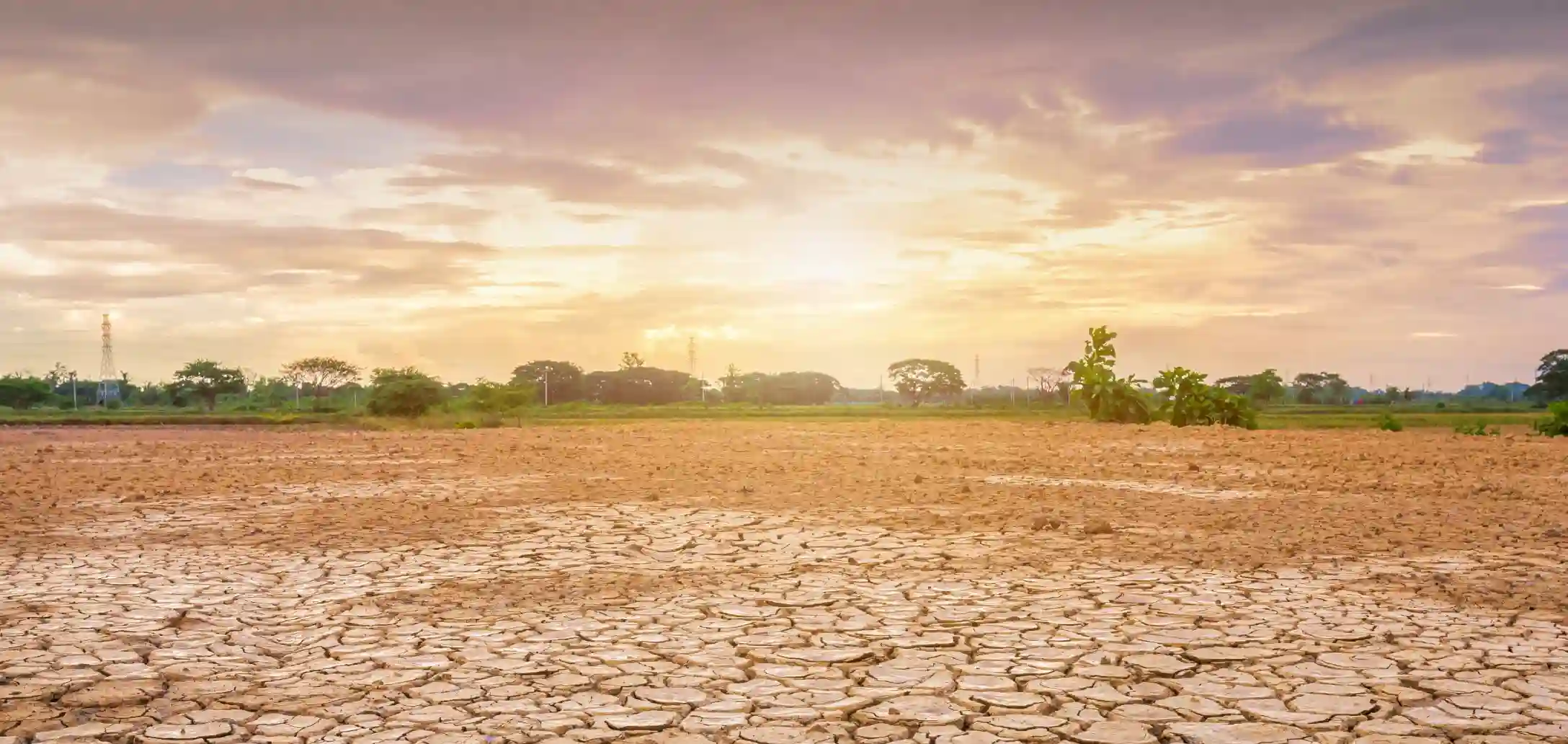 Menjaga Ketahanan Pangan