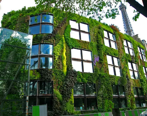 Menghijaukan Kota: Harapan Baru dari Ruang Terbuka dan Tanaman Lokal