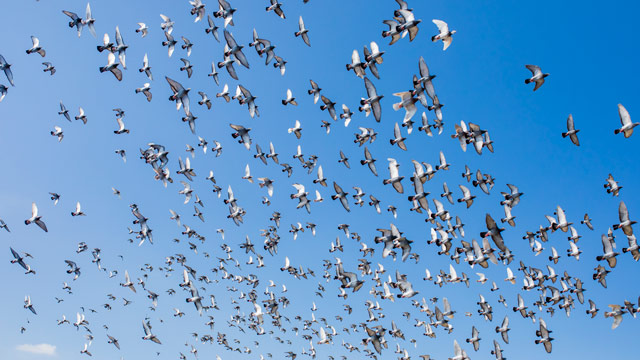 Pentingnya Dokumentasi dan Monitoring