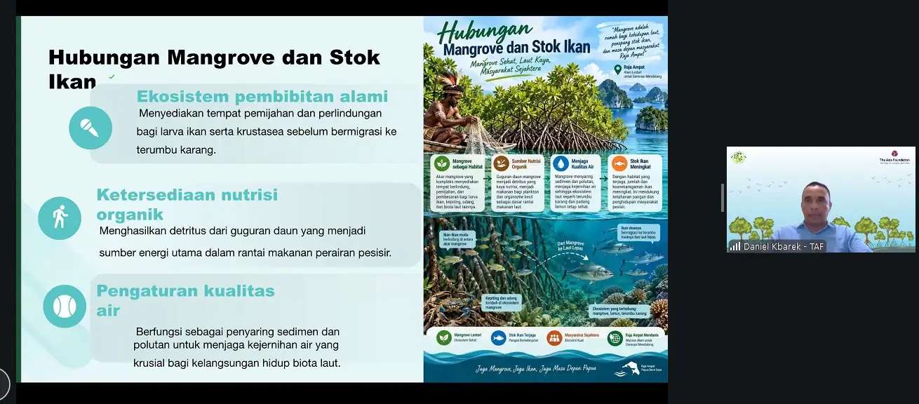Hubungan mangrove dan stok ikan