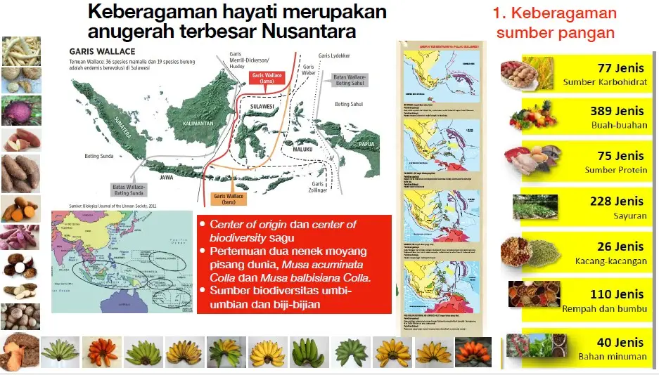Diversifikasi Pangan: Mengembalikan Pilihan ke Meja Makan